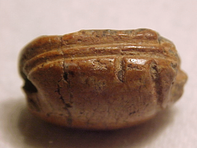 HYKSOS Egyptian Period Scarab Seal  Circa 1600 BC